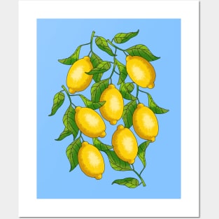 Lemons Art Posters and Art